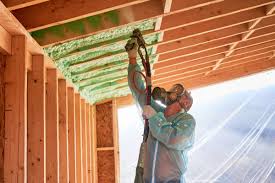 Best Eco-Friendly or Green Insulation Solutions  in Ely, NV